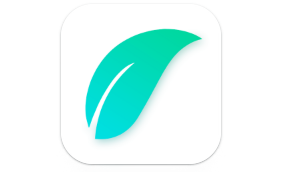 Ileco, Momentum Media